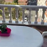 Viola *