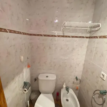 Viola Торевьиа