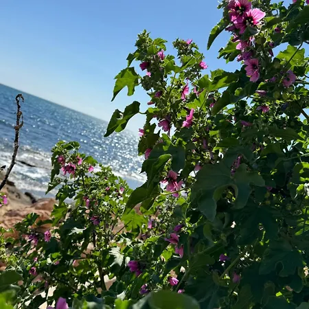 Апартаменты Viola Торевьиа