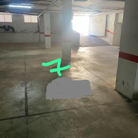 Viola * 托雷维耶哈
