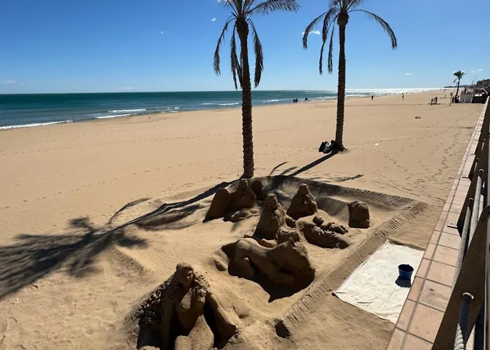 Viola Torrevieja