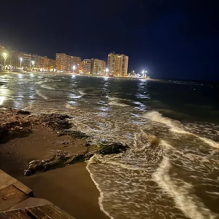 Viola Torrevieja