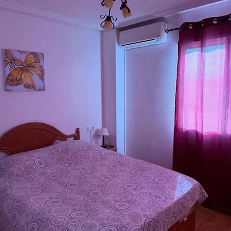 Viola * Torrevieja